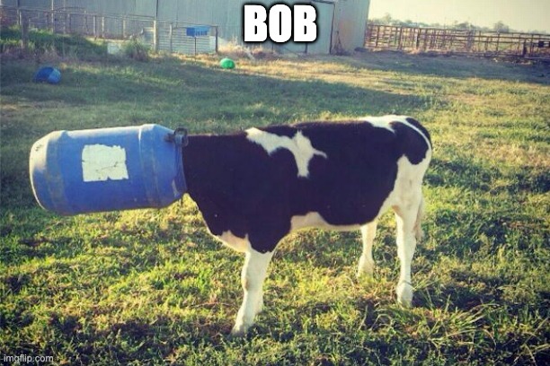 BOB | made w/ Imgflip meme maker