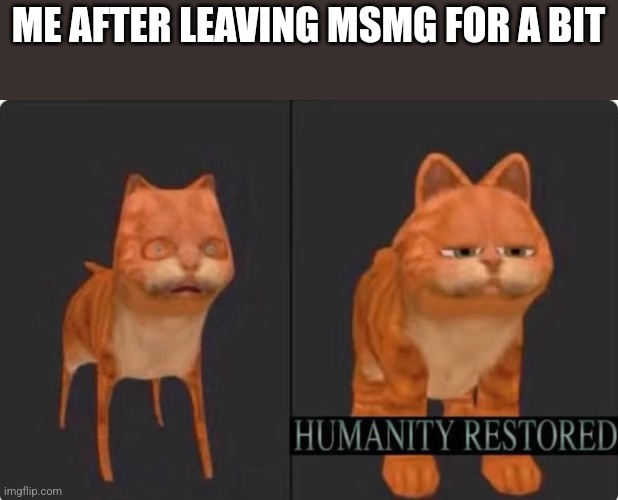 humanity restored | ME AFTER LEAVING MSMG FOR A BIT | image tagged in humanity restored | made w/ Imgflip meme maker