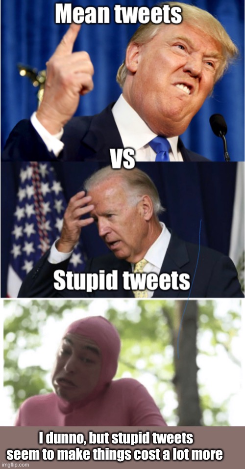 Mean vs stupid | I dunno, but stupid tweets seem to make things cost a lot more | image tagged in i dunno,politics lol,memes | made w/ Imgflip meme maker