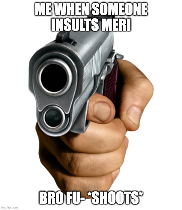 gun | ME WHEN SOMEONE INSULTS MERI; BRO FU- *SHOOTS* | image tagged in insult template | made w/ Imgflip meme maker
