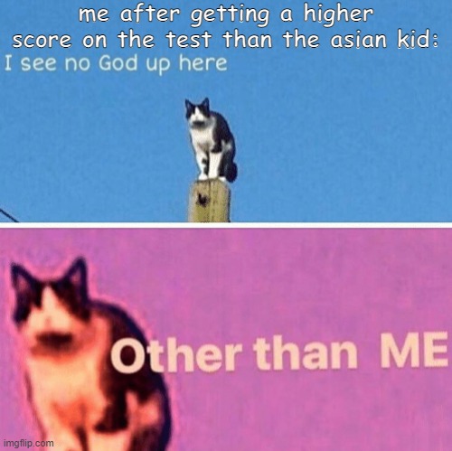 Hail pole cat | me after getting a higher score on the test than the asian kid: | image tagged in hail pole cat,test,kahoot,memes,funny,barney will eat all of your delectable biscuits | made w/ Imgflip meme maker