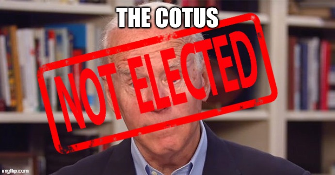 Everybody called him the Cotus of the country~ | THE COTUS | image tagged in robin never did a thing to make the country strong,hey look ol yellows leaving | made w/ Imgflip meme maker