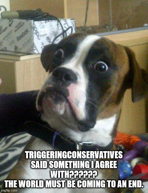 Blankie the Shocked Dog | TRIGGERINGCONSERVATIVES
SAID SOMETHING I AGREE
WITH??????
THE WORLD MUST BE COMING TO AN END. | image tagged in blankie the shocked dog | made w/ Imgflip meme maker