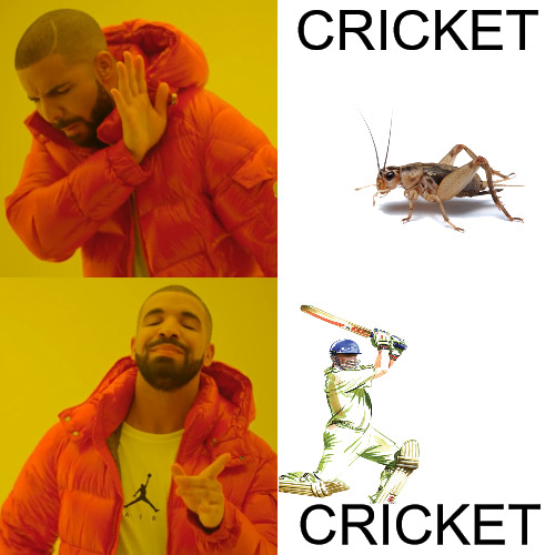 true story | CRICKET; CRICKET | image tagged in memes,drake hotline bling | made w/ Imgflip meme maker