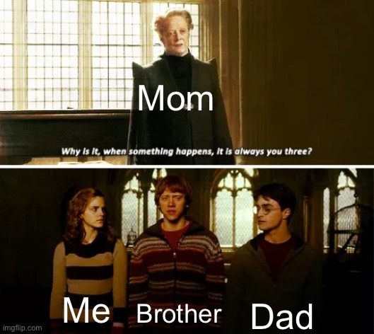 Too true | Mom; Dad; Me; Brother | image tagged in always you three,harry potter,family | made w/ Imgflip meme maker