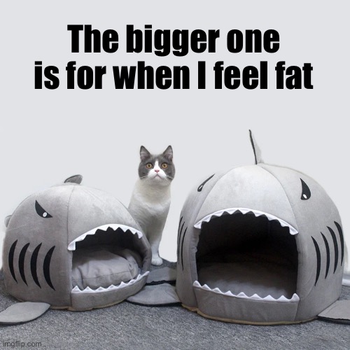 The bigger one is for when I feel fat | made w/ Imgflip meme maker