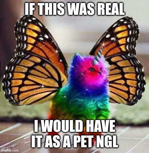 Don't we always a kid | IF THIS WAS REAL; I WOULD HAVE IT AS A PET NGL | image tagged in rainbow unicorn butterfly kitten | made w/ Imgflip meme maker