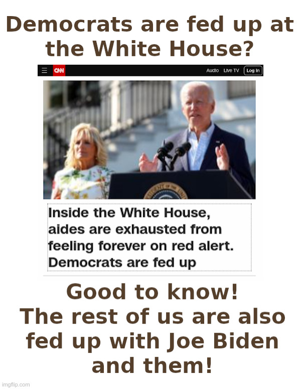 Democrats Are Fed Up? | image tagged in clueless,joe biden,dementia,marxists,communists,democrats | made w/ Imgflip meme maker