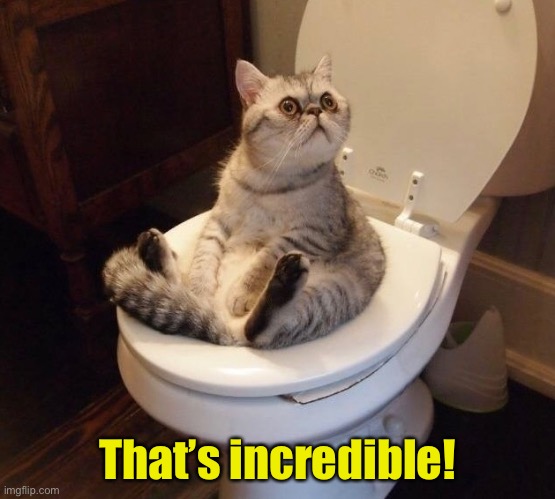 That’s incredible! | made w/ Imgflip meme maker