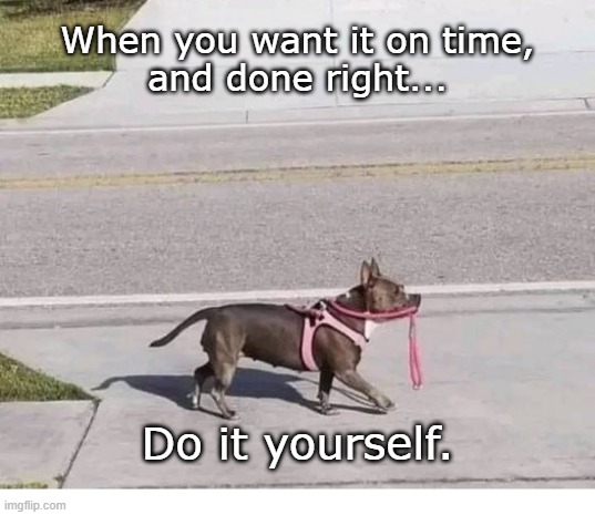 Do It Yourself |  When you want it on time,
and done right... Do it yourself. | image tagged in walking,dog | made w/ Imgflip meme maker