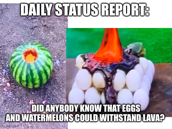 . | DAILY STATUS REPORT:; DID ANYBODY KNOW THAT EGGS AND WATERMELONS COULD WITHSTAND LAVA? | image tagged in daily,status,report | made w/ Imgflip meme maker