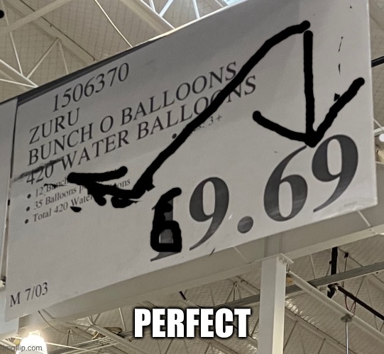The first 69 is actually a 19 | PERFECT | image tagged in funny,69,420 | made w/ Imgflip meme maker