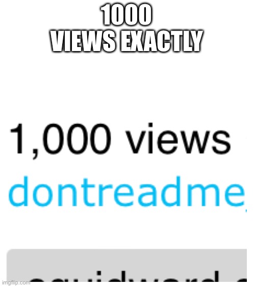 1000 VIEWS EXACTLY | image tagged in blank white template | made w/ Imgflip meme maker