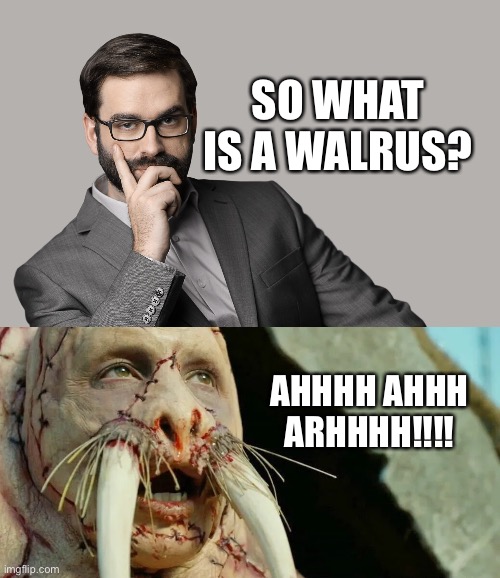 SO WHAT IS A WALRUS? AHHHH AHHH ARHHHH!!!! | image tagged in matt walsh,walrus | made w/ Imgflip meme maker