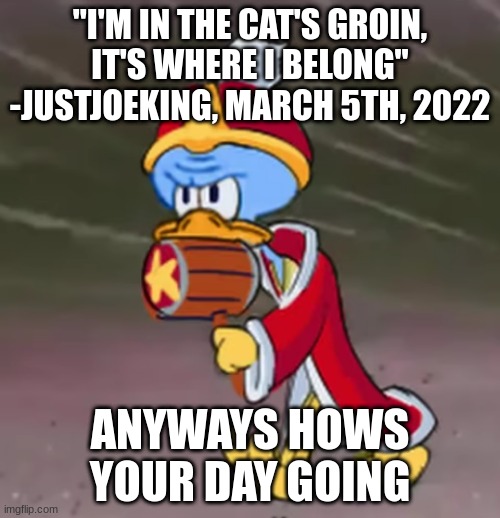 squidwardedede | "I'M IN THE CAT'S GROIN, IT'S WHERE I BELONG" -JUSTJOEKING, MARCH 5TH, 2022; ANYWAYS HOWS YOUR DAY GOING | image tagged in squidwardedede | made w/ Imgflip meme maker