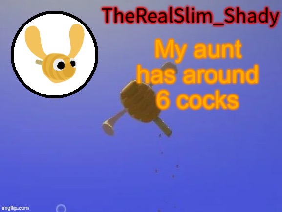   | My aunt has around 6 cocks | image tagged in shady s hunnabee temp thanks carlos | made w/ Imgflip meme maker