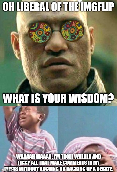 OH LIBERAL OF THE IMGFLIP WAAAAH WAAAH. I'M TROLL WALKER AND I IGGY ALL THAT MAKE COMMENTS IN MY POSTS WITHOUT ARGUING OR BACKING UP A DEBAT | image tagged in acid kicks in morpheus,african kid crying | made w/ Imgflip meme maker