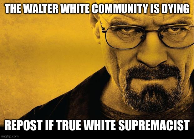 Breaking bad | THE WALTER WHITE COMMUNITY IS DYING; REPOST IF TRUE WHITE SUPREMACIST | image tagged in breaking bad | made w/ Imgflip meme maker