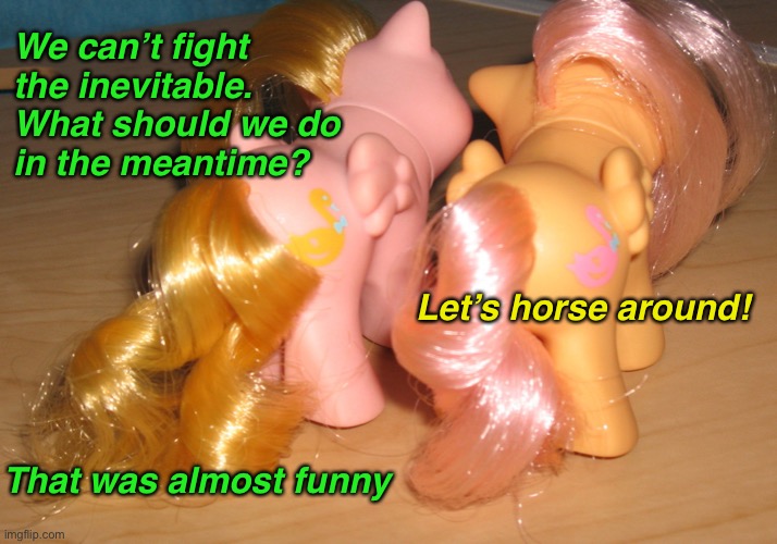 We can’t fight the inevitable.
What should we do
in the meantime? Let’s horse around! That was almost funny | made w/ Imgflip meme maker