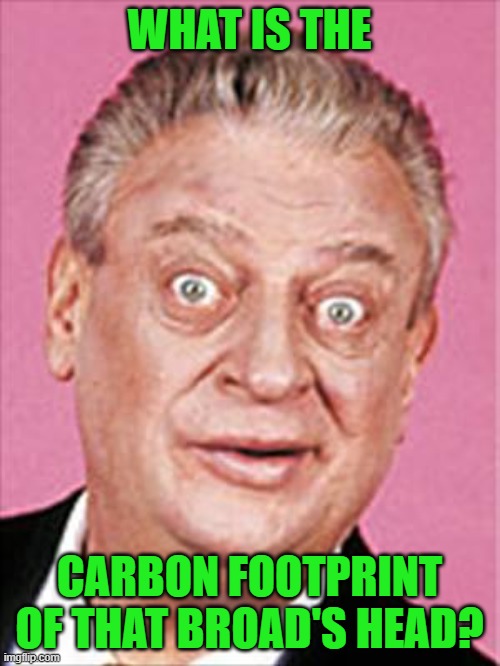 rodney dangerfield | WHAT IS THE CARBON FOOTPRINT OF THAT BROAD'S HEAD? | image tagged in rodney dangerfield | made w/ Imgflip meme maker