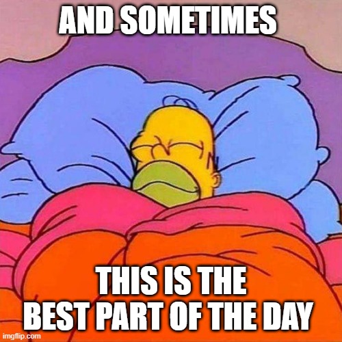 Sleep is best | AND SOMETIMES; THIS IS THE BEST PART OF THE DAY | image tagged in homer napping | made w/ Imgflip meme maker
