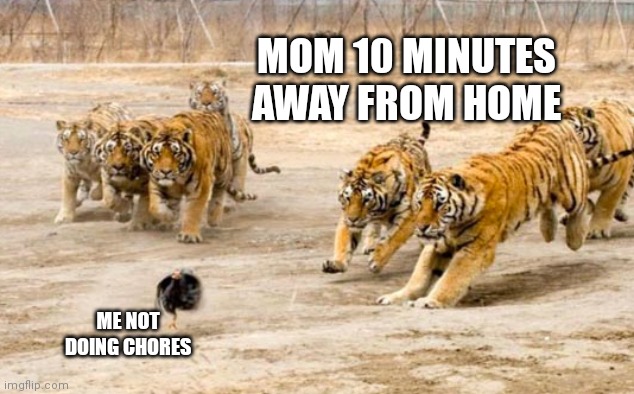 Running | MOM 10 MINUTES AWAY FROM HOME; ME NOT DOING CHORES | image tagged in running | made w/ Imgflip meme maker