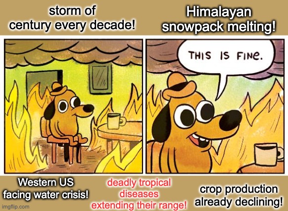 This meme got me science-mansplained all over the Politics stream | Himalayan snowpack melting! storm of century every decade! deadly tropical diseases extending their range! Western US facing water crisis! crop production already declining! | image tagged in memes,this is fine,climate change,politics,denial | made w/ Imgflip meme maker
