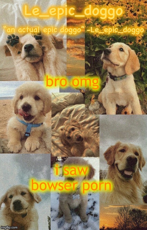 Doggo temp by doggo. Wait what that’s confusing | bro omg; i saw bowser porn | image tagged in doggo temp by doggo wait what that s confusing | made w/ Imgflip meme maker
