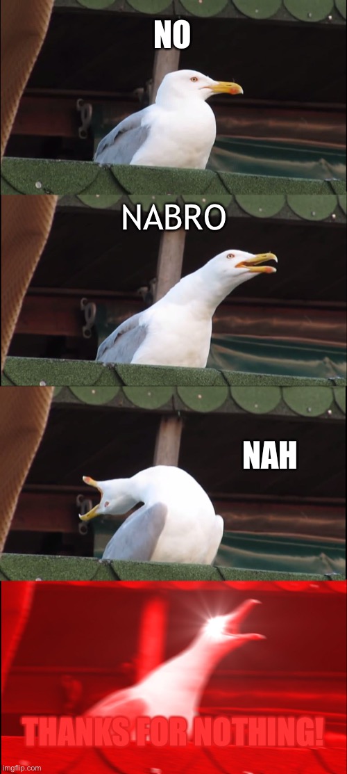 Inhaling Seagull Meme | NO NABRO NAH THANKS FOR NOTHING! | image tagged in memes,inhaling seagull | made w/ Imgflip meme maker
