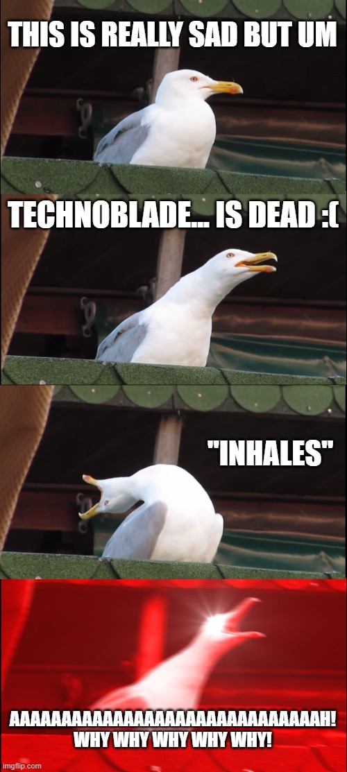 Inhaling Seagull | THIS IS REALLY SAD BUT UM; TECHNOBLADE... IS DEAD :(; "INHALES"; AAAAAAAAAAAAAAAAAAAAAAAAAAAAAAH! WHY WHY WHY WHY WHY! | image tagged in memes,inhaling seagull | made w/ Imgflip meme maker