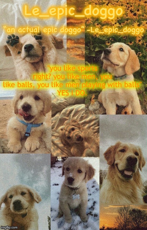 Doggo temp by doggo. Wait what that’s confusing | "you like sports right? you like men, you like balls, you like men playing with balls"
YES I DO. | image tagged in doggo temp by doggo wait what that s confusing | made w/ Imgflip meme maker