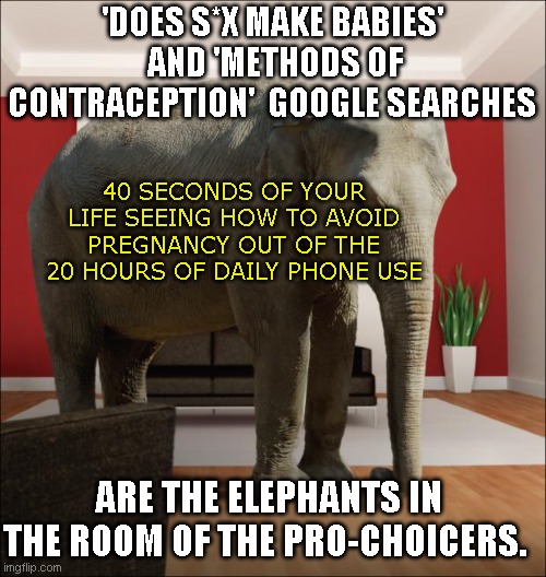 Elephant In The Room | 'DOES S*X MAKE BABIES'  AND 'METHODS OF CONTRACEPTION'  GOOGLE SEARCHES; 40 SECONDS OF YOUR LIFE SEEING HOW TO AVOID PREGNANCY OUT OF THE 20 HOURS OF DAILY PHONE USE; ARE THE ELEPHANTS IN THE ROOM OF THE PRO-CHOICERS. | image tagged in elephant in the room | made w/ Imgflip meme maker
