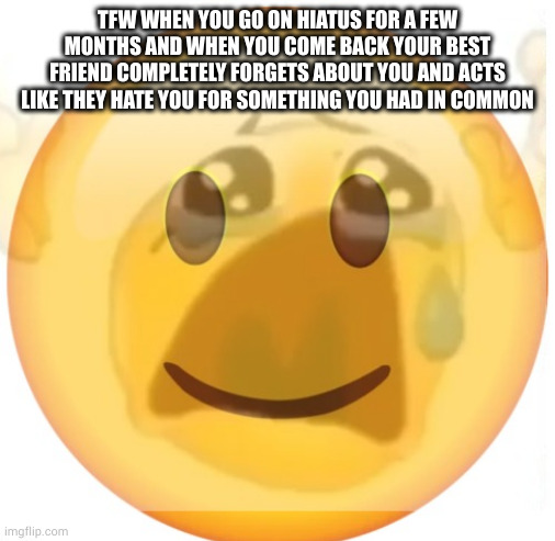 it wasn't on imgflip but still | TFW WHEN YOU GO ON HIATUS FOR A FEW MONTHS AND WHEN YOU COME BACK YOUR BEST FRIEND COMPLETELY FORGETS ABOUT YOU AND ACTS LIKE THEY HATE YOU FOR SOMETHING YOU HAD IN COMMON | image tagged in happy emoji on the outside but crying on the inside | made w/ Imgflip meme maker