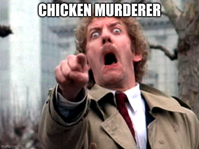 when you seen someone from work outside the mall | CHICKEN MURDERER | image tagged in screaming donald sutherland,joke,laugh,goddammit | made w/ Imgflip meme maker