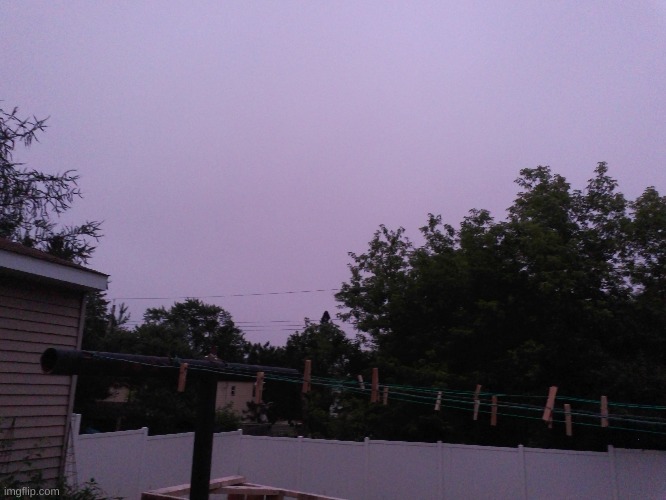 I wasn't exaggerating when I said the sky was pink | made w/ Imgflip meme maker