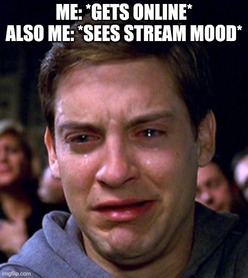 Bri*ish | ME: *GETS ONLINE*
ALSO ME: *SEES STREAM MOOD* | image tagged in crying peter parker | made w/ Imgflip meme maker