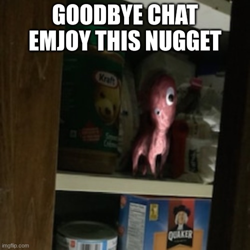 Lil Nugget in the pantry | GOODBYE CHAT
EMJOY THIS NUGGET | image tagged in lil nugget in the pantry | made w/ Imgflip meme maker