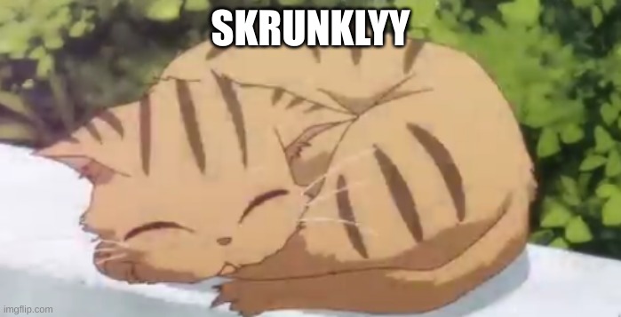 SKRUNKLYY | made w/ Imgflip meme maker