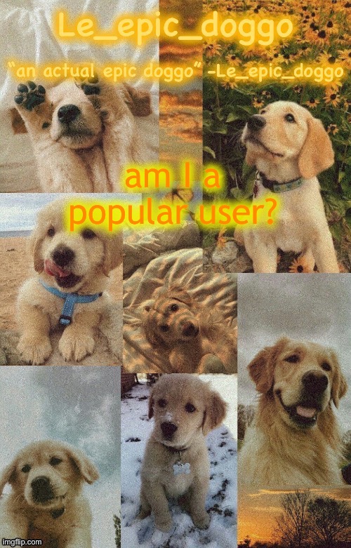Doggo temp by doggo. Wait what that’s confusing | am I a popular user? | image tagged in doggo temp by doggo wait what that s confusing | made w/ Imgflip meme maker