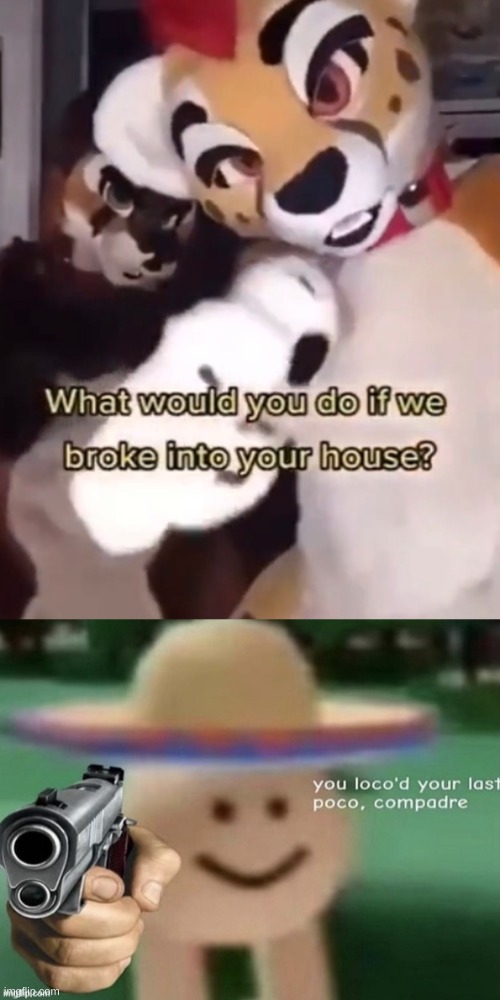 yes your allowed | image tagged in what would you do if some fatherless furries broke into ur home,you loco'd your last poco compadre | made w/ Imgflip meme maker