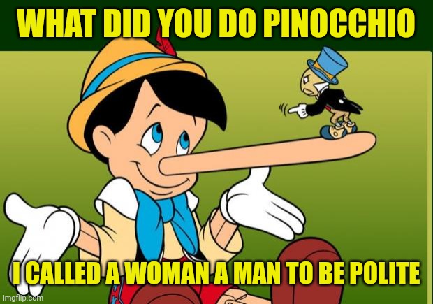 No matter what A lie Is still a lie | WHAT DID YOU DO PINOCCHIO; I CALLED A WOMAN A MAN TO BE POLITE | image tagged in liar,lies,tired of hearing about transgenders | made w/ Imgflip meme maker