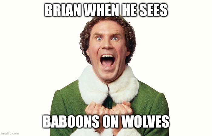 Buddy the elf excited | BRIAN WHEN HE SEES; BABOONS ON WOLVES | image tagged in buddy the elf excited | made w/ Imgflip meme maker