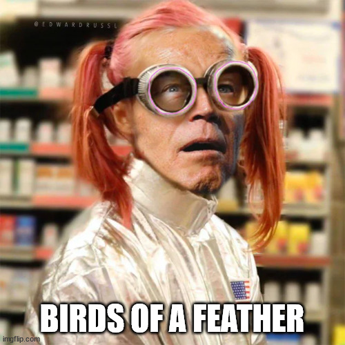 BIRDS OF A FEATHER | made w/ Imgflip meme maker