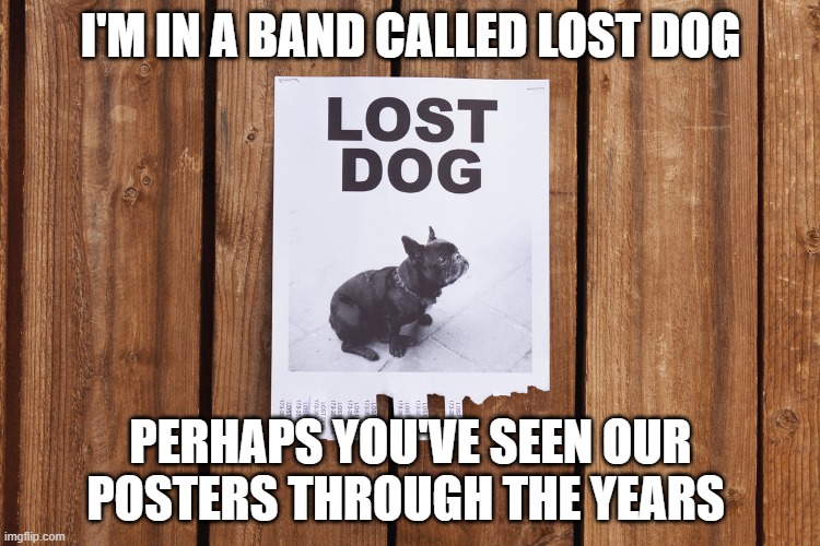 I'm in a band called Lost dog Perhaps you've seen our posters through the years | I'M IN A BAND CALLED LOST DOG; PERHAPS YOU'VE SEEN OUR POSTERS THROUGH THE YEARS | image tagged in lost dog,dog,lost | made w/ Imgflip meme maker