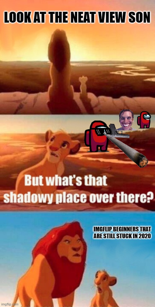 That was a dark year  <=l | LOOK AT THE NEAT VIEW SON; IMGFLIP BEGINNERS THAT ARE STILL STUCK IN 2020 | image tagged in memes,simba shadowy place | made w/ Imgflip meme maker