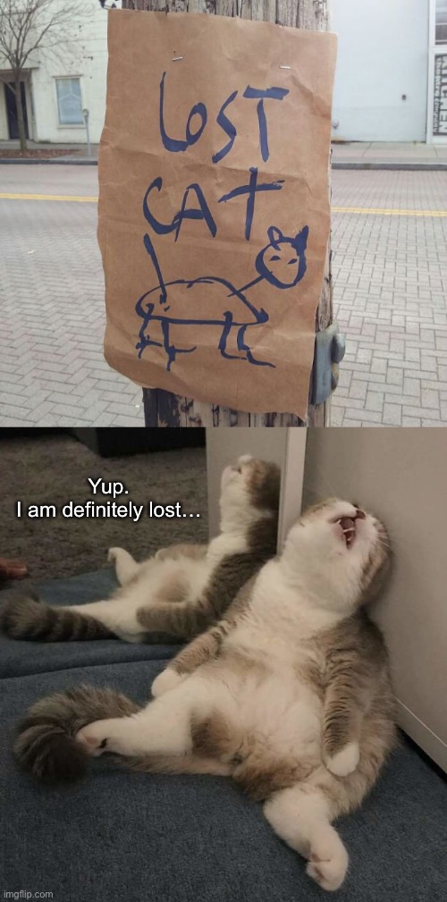 Found Out | Yup.
I am definitely lost… | image tagged in funny memes,funny cat memes,lost | made w/ Imgflip meme maker