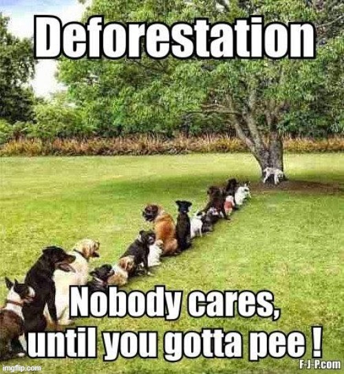 Pee tree ! | image tagged in reservoir dogs | made w/ Imgflip meme maker