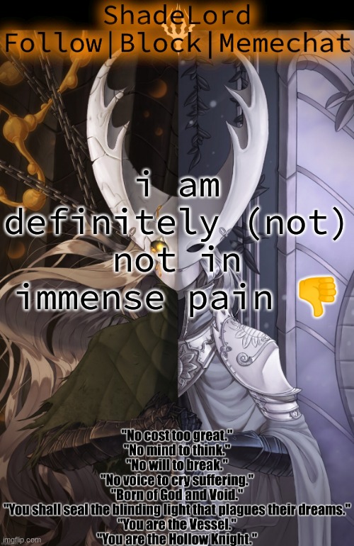ShadeLord Announcement Template - The Hollow Knight | i am definitely (not) not in immense pain 👎 | image tagged in shadelord announcement template - the hollow knight | made w/ Imgflip meme maker