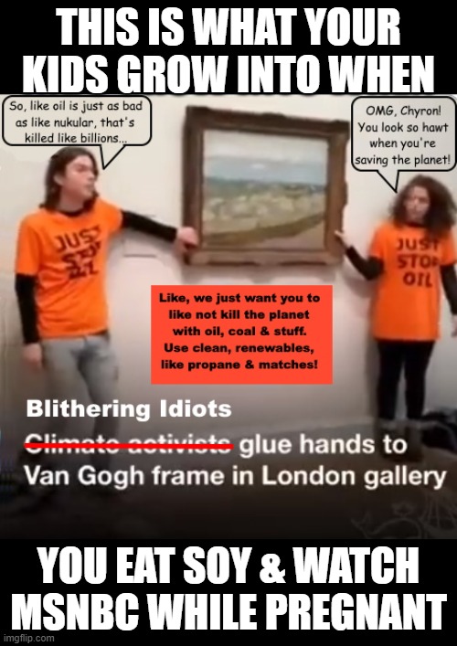 Just Stop Oil-Climate Buffoons | THIS IS WHAT YOUR KIDS GROW INTO WHEN; YOU EAT SOY & WATCH MSNBC WHILE PREGNANT | image tagged in climate change,global warming,dem,renewable energy,green,hippies | made w/ Imgflip meme maker