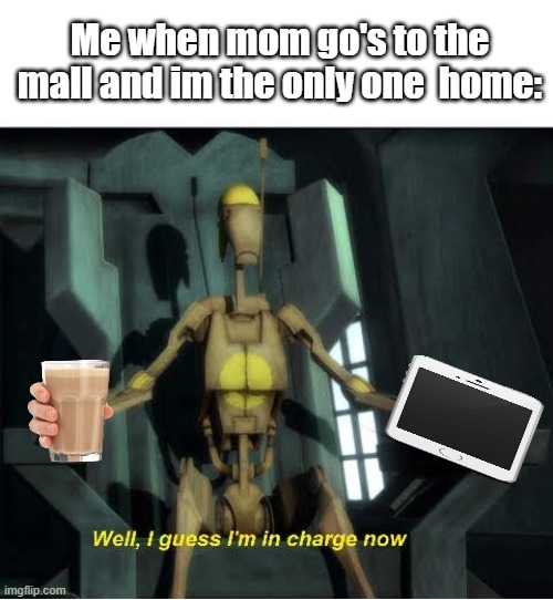 Guess I'm in charge now | Me when mom go's to the mall and im the only one  home: | image tagged in guess i'm in charge now | made w/ Imgflip meme maker